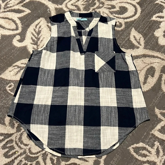 She + sky sleeveless top. V neck. Blue and white. New. Size large. - Picture 1 of 4